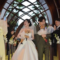 シェラトン・グランデ・トーキョーベイ・ホテルで挙げたwedding_diary119さんの結婚披露宴・挙式カバー写真1枚目