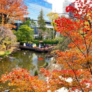 東郷神社 原宿 東郷記念館で結婚式 ウェディングニュース結婚式場検索