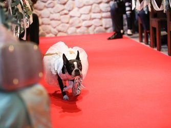 天空の桝水高原教会の公式写真5枚目