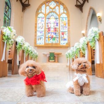 ペットと一緒に過ごせる結婚式♪貸切邸宅×スイーツ試食付き