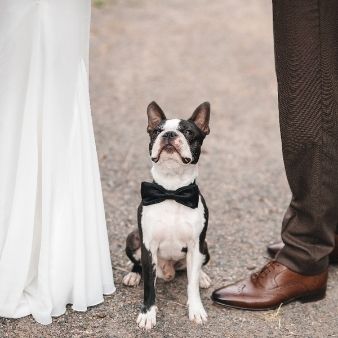 大切なペットと一緒に叶える憧れWedding相談会*