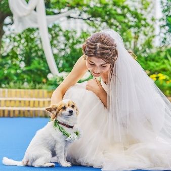 【愛犬と一緒にウエディング】ペット婚×おいしいと評判◎の試食