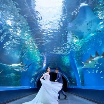 ◆水族館チケット＆豪華試食付◆光と緑の中で叶えるチャペルW