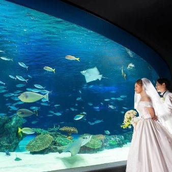 【BIG特典付】アクアリウム挙式×水族館でビュッフェパーティ