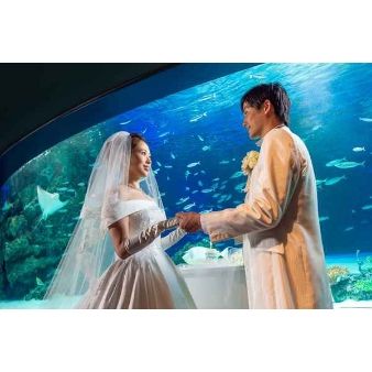 【春婚】水族館貸切の挙式をプレゼント