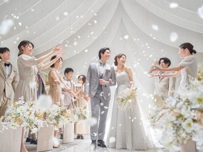 小さな結婚式２５周年記念フェア｜来年の春婚がお得に叶います