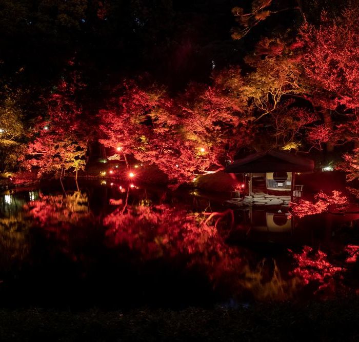 【期間限定】赤く染まる秋の日本庭園×豪華特別試食フェア