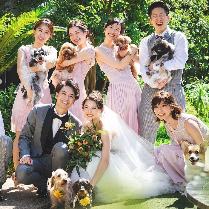 【愛犬と一緒♪】ホテルで叶えるペット婚*リングドッグ&人気演出