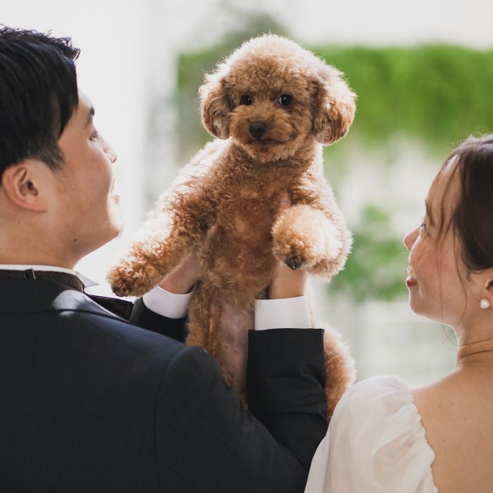 【ペットと泊まれる外資系5つ星ホテル宿泊付】打合せ〜当日まで愛犬家Wedding