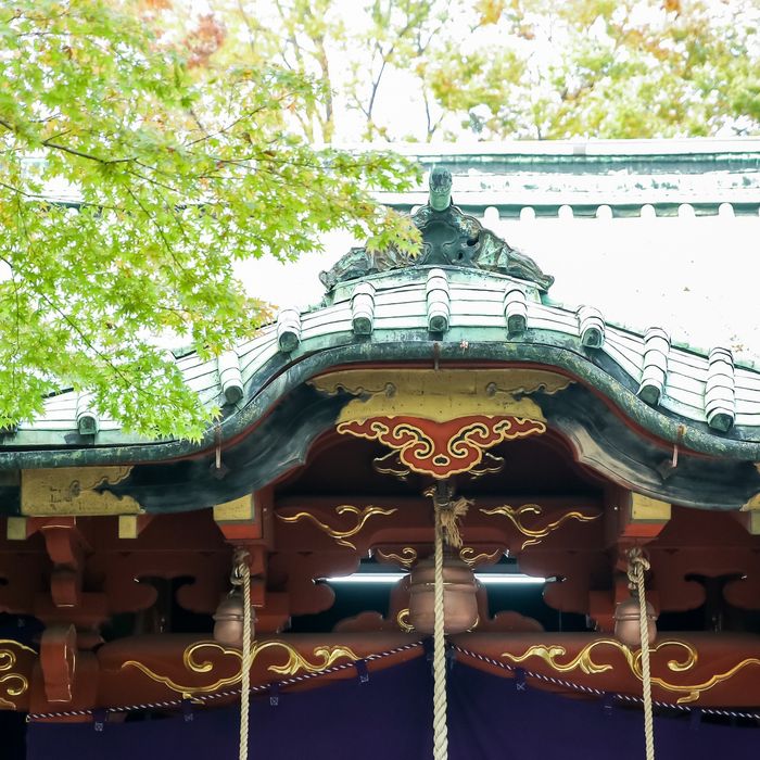 【平日限定★神社ツアー×和婚相談会】空き状況もご案内★和婚相談フェア