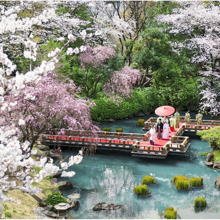 【当館人気No1*15大特典付】神社挙式×絶品試食×"貸切"庭園体験