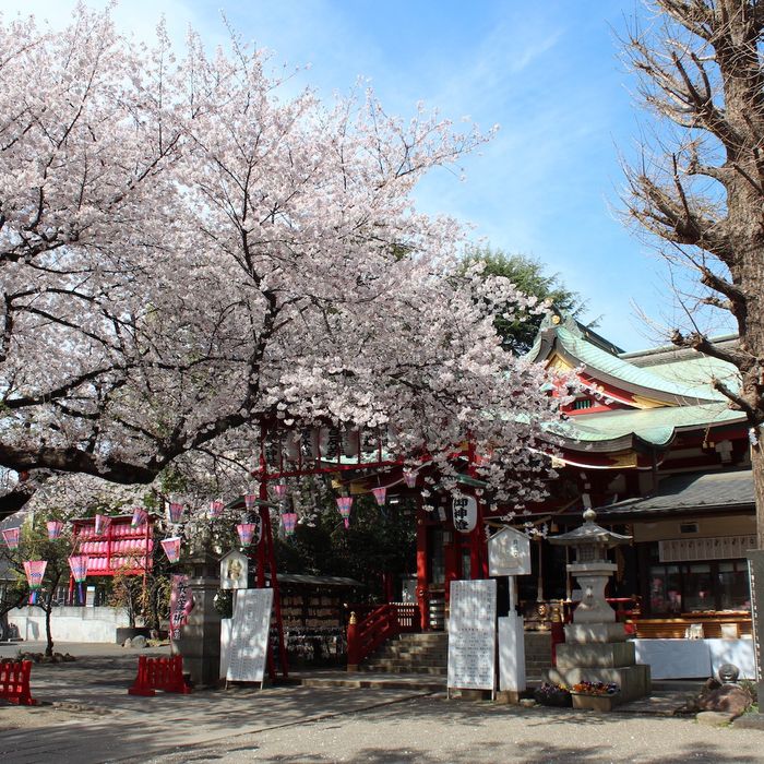 居木神社で結婚式 ウェディングニュース