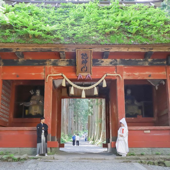 【善光寺・戸隠神社・武井神社挙式もお任せ！】和婚相談&試食会