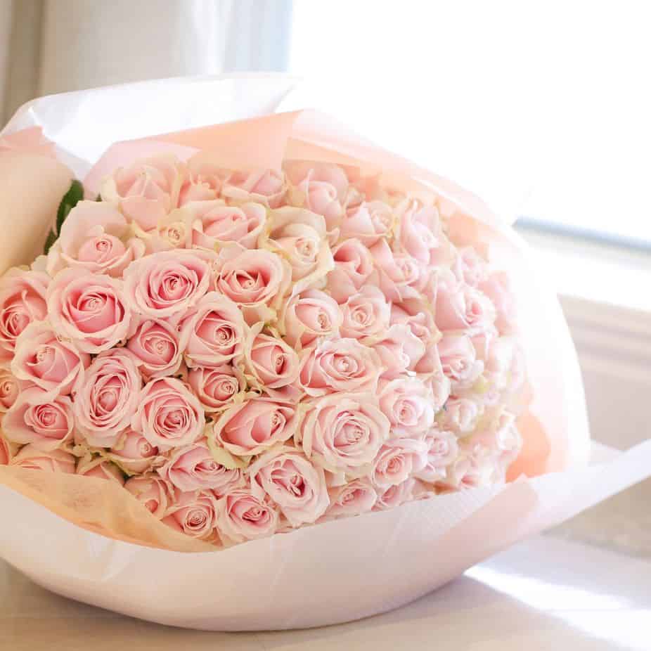ピンクのバラの花言葉は 色や本数で意味が変わるバラをプレゼントに ウェディングニュース