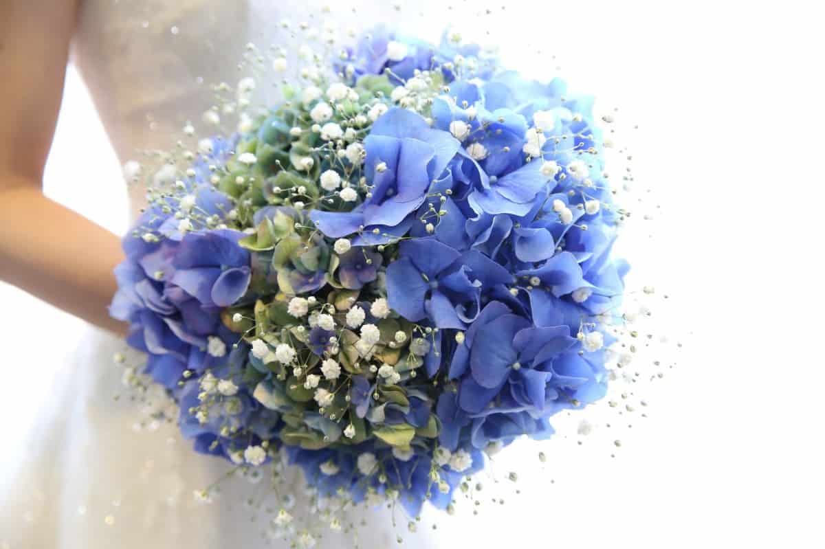 結婚式にぴったりの 6月 の誕生花と花言葉は 30日まで総まとめ ウェディングニュース